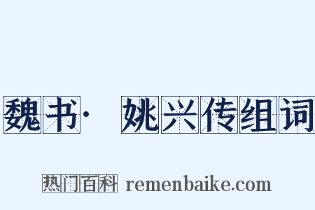 魏书·姚兴传组词是什么意思的图片